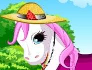 Pony Dressup