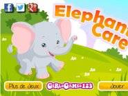 Elephant Care