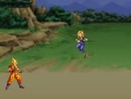 Dragon Ball Z Fight