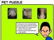 Pet Puzzle