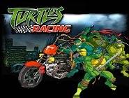 Tortues Ninja Racing