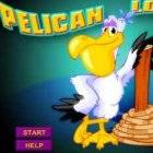 Pelican Lost