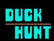 Duck Hunt Classic