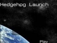 Hedgehog Launch