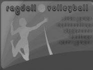 Ragdoll Volleyball