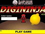 DigiNinja