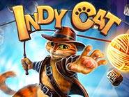 Indy Cat