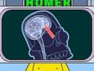 Homer Xray