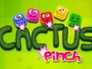 Cactus Pinch