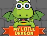 My Little Dragon