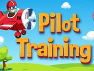 Pilot Training