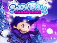 Snowball Champions