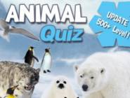 Animal Quiz