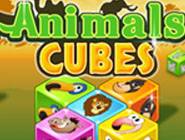 Animal Cubes