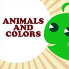 Animals & Colors