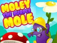 Purple Mole 