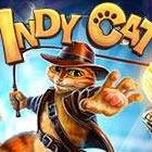 Indy cat on Playhub