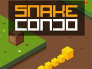 Snake Condo