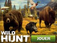 Wild Hunt