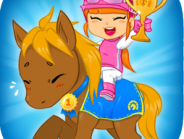 My pony : my little race
