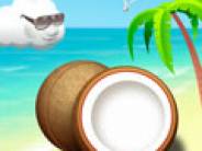 Coconut Beach