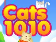 Cats 1010