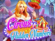 Circus Hidden Numbers