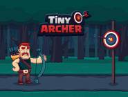 Tiny Archer