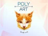 Poly Art