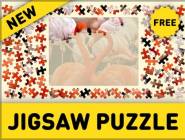 Jigsaw Puzzle 2020