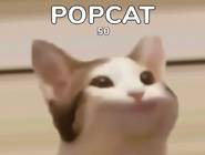 POPCAT