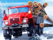 Truck Driver Snowy Roads