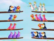 Bird Sort Puzzle