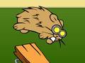 Flight of the Hamsters