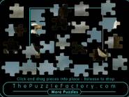 Jigsaw Puzzlee