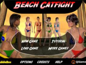 Beach Catfight - Free game at Playhub.com