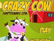 Crazy Cow