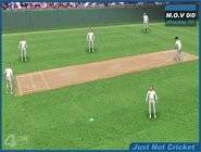 Cricket
