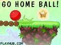 Go Home Ball
