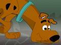 Scooby Doo Lost His Track