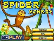 Spider Monkey