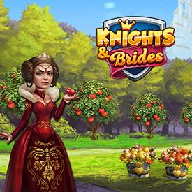 Knights and Brides on Playhub