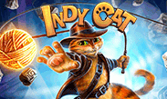 Indy cat on Playhub