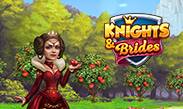 Knights and Brides on Playhub